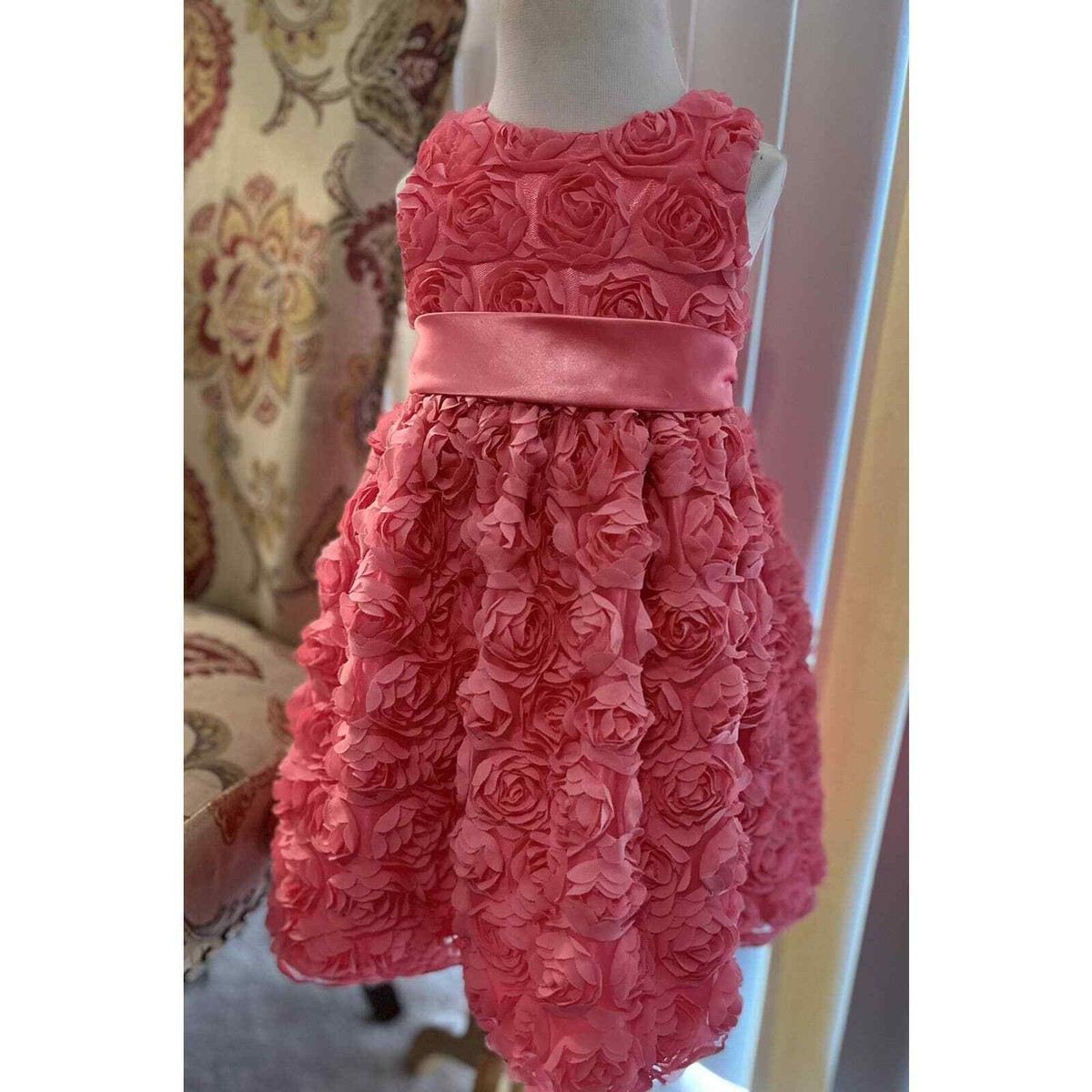 american princess pink dress American Princess Pink Dress With Rose Embellishments