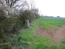 Photo 6x4 Trig point in a hedge Burton End 122m above sea level. c2011