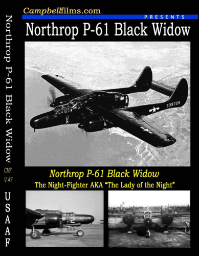USAAF Air Force USAF Night Fighter Northrop P-61 Black Widow of WW2 - Afbeelding 1 van 12