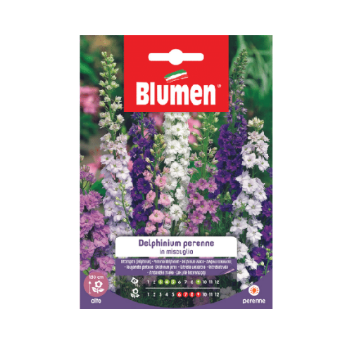 Semi per Fiori Delphinum Perenne in Miscuglio Blumen