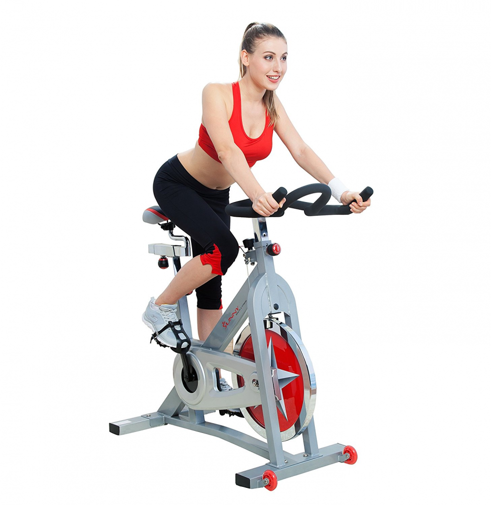 sunny health and fitness bike