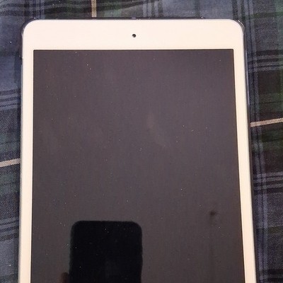 Apple iPad mini (5th Gen) 7.9in Wi-Fi 64GB White Tablet - Used