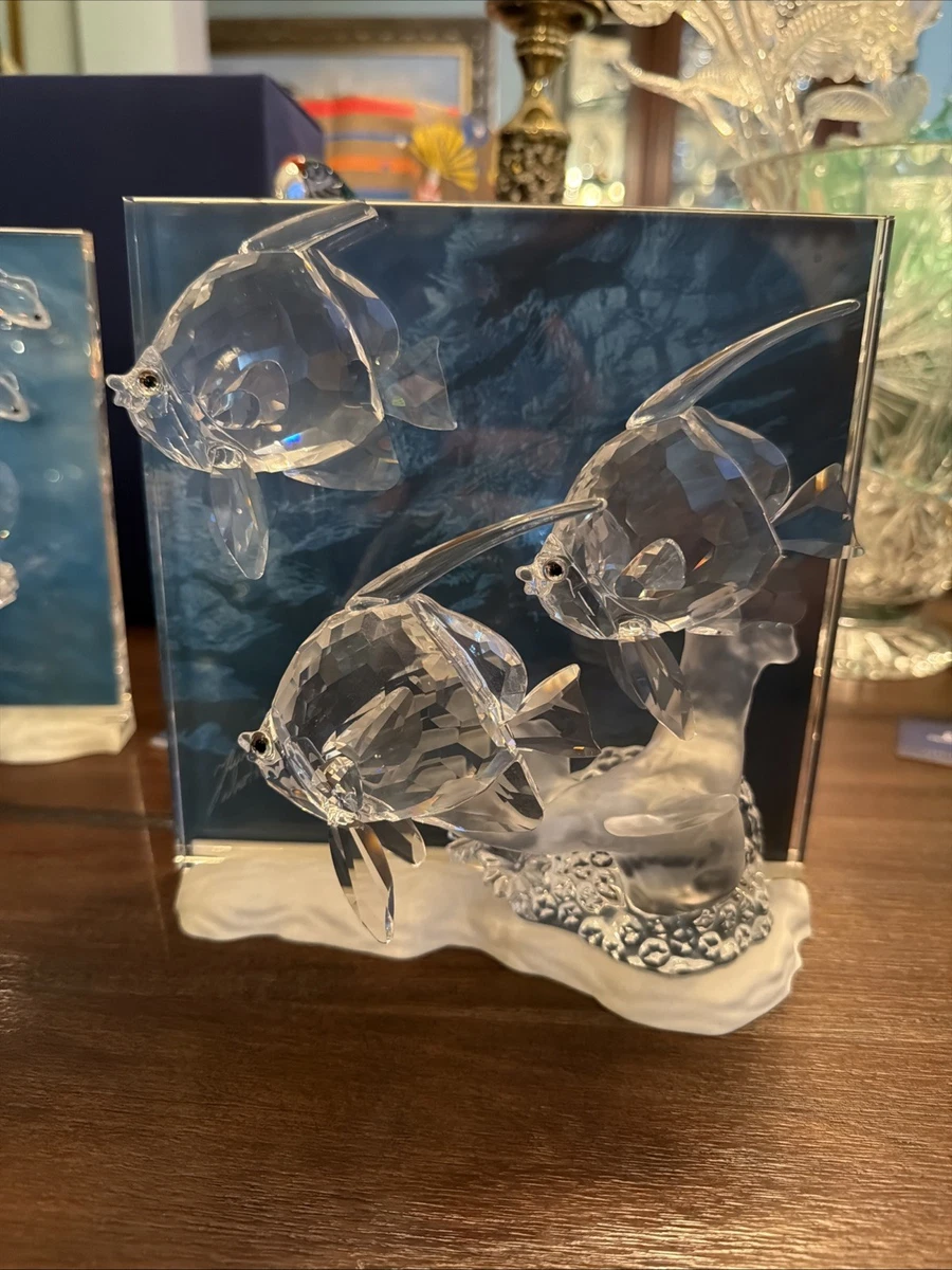 施华洛世奇Wonders of the sea | eBay