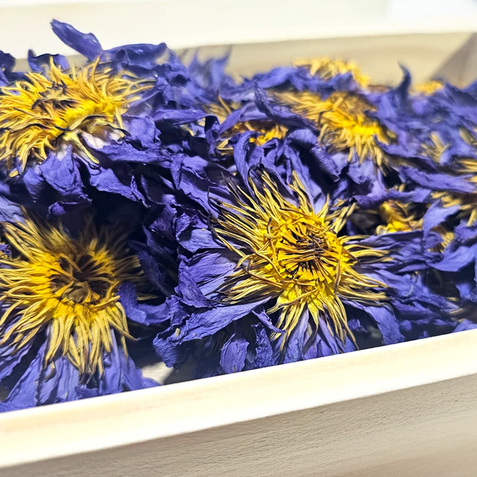 Flor de loto azul orgánico Egipto azul nelumbo nenúfar Foto 3 de 4