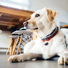 Smart Mini GPS Tracker Anti-Lost Locator for Keys Pets Kids iOS Android