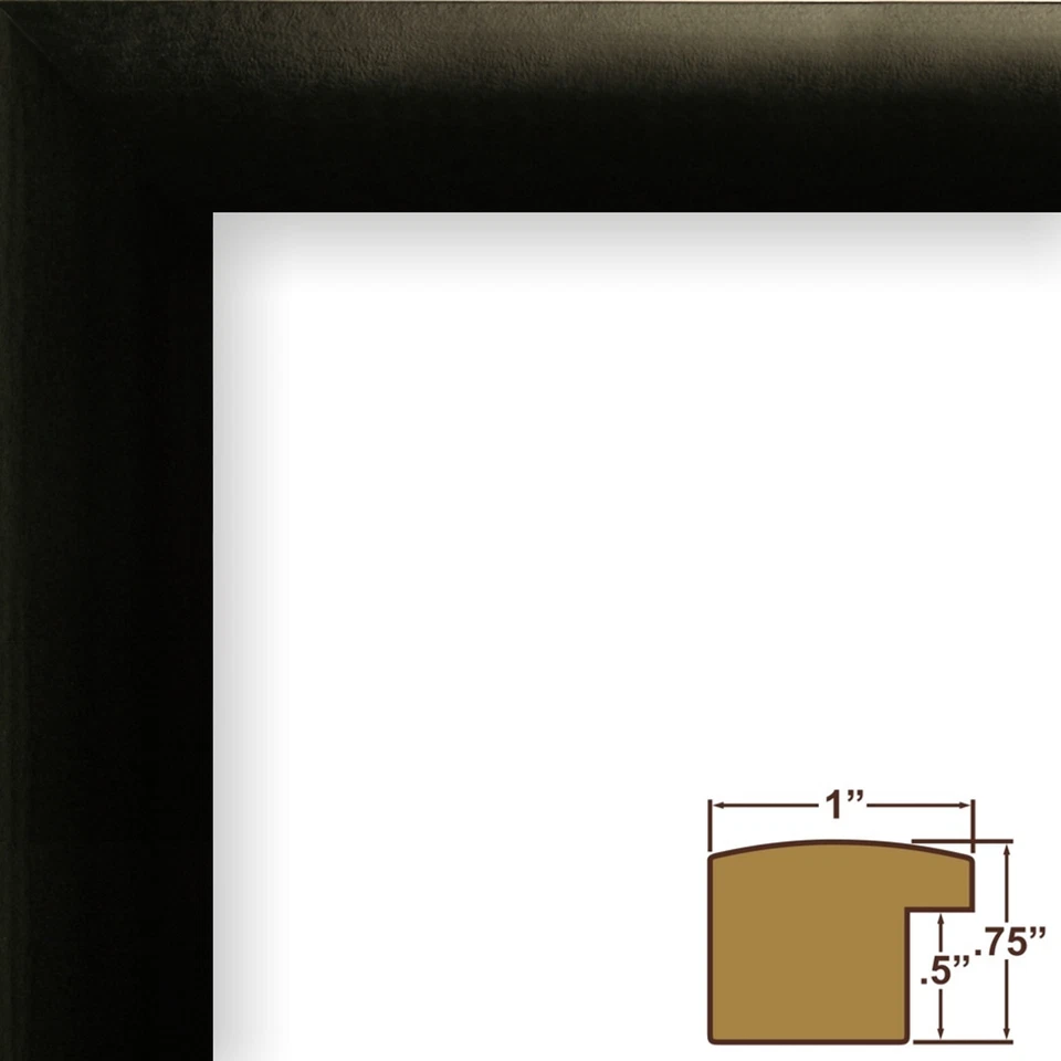 Alfombrilla de exhibición de CD Craig Frames completa 7x12 en marco negro de 1" con vidrio Foto 2 de 4