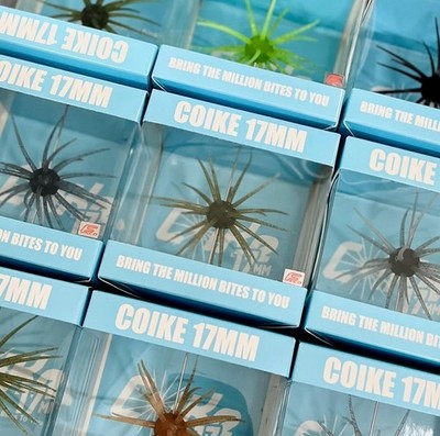 HIDEUP COIKE 17mm Non Soft Type Please Choose Color Creature Bait