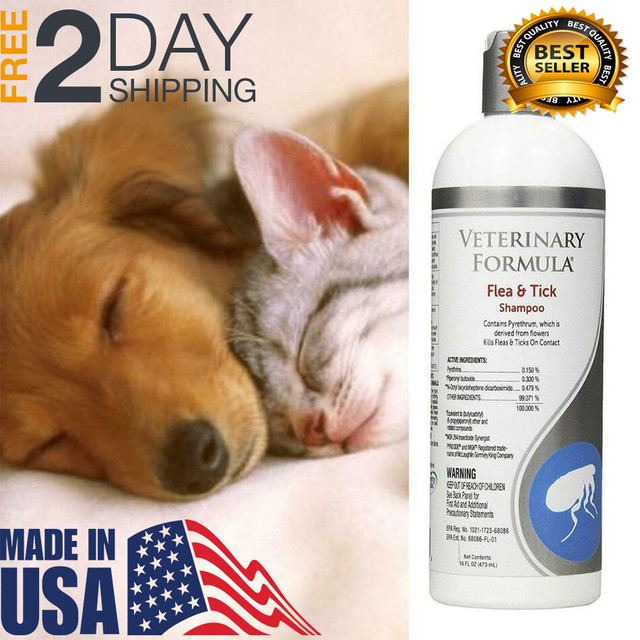 shampoo antipulgas y garrapatas