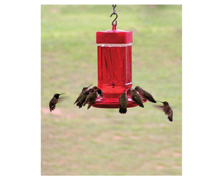 First Nature 3055 32 Ounce Best Hummingbird Feeder Easy To Clean