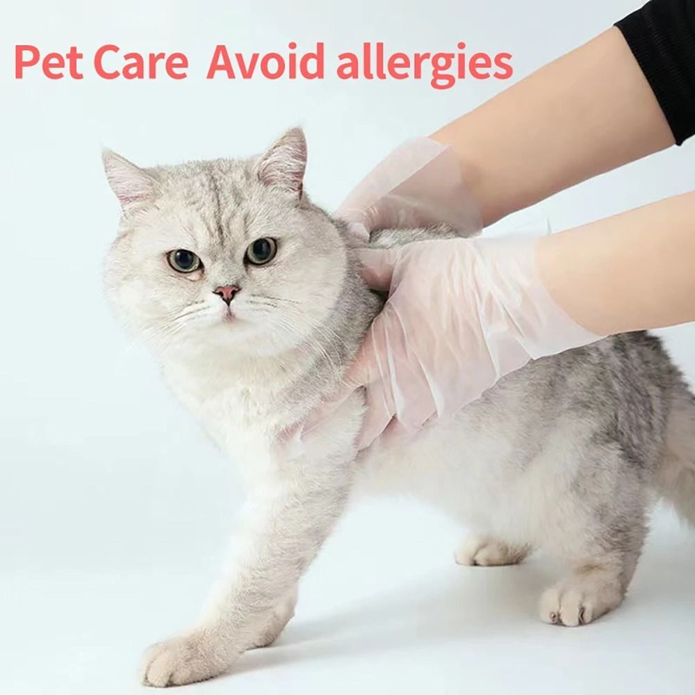 100Pcs Acid Work Safety Cleaning Gloves Transparent Latex Free Gloves