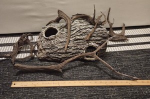 Aquarium terrarium driftwood hides