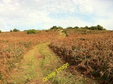 Photo 12x8 Kittern Hill Hugh Town On Gugh, Isles of Scilly c2011