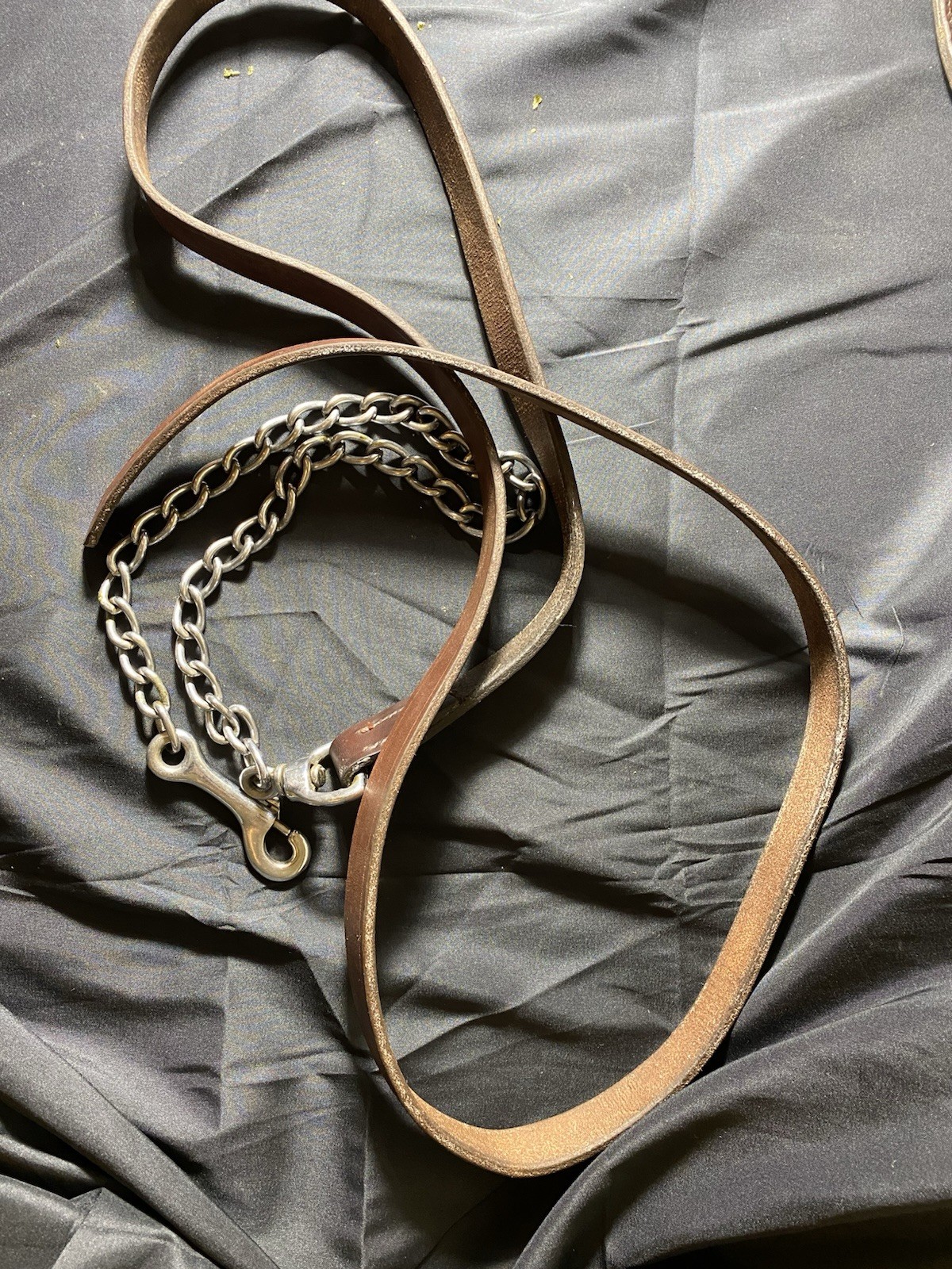 Foto 8 di 8