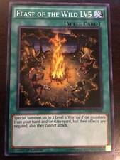 Feast of the Wild LV5 DUEA-EN056 YuGiOh! Spell DUELIST ALLIANCE 1st Ed NM x1