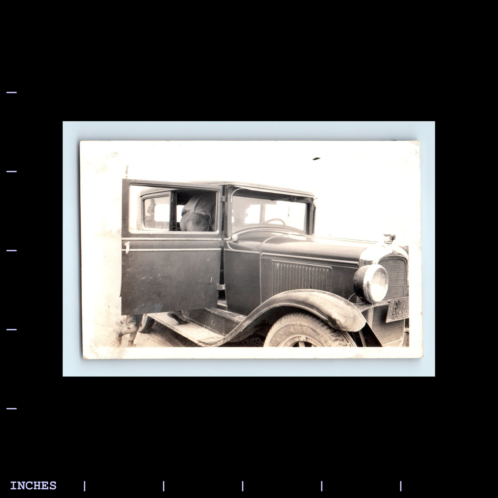 Old Vintage Photo 1929 CLASSIC CAR PONTIAC HOOD ORNAMENT CALIFORNIA PLATES