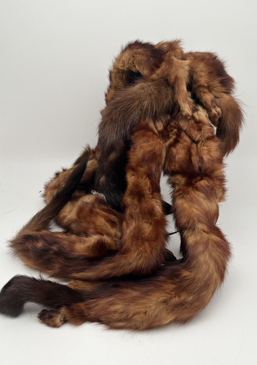 Vintage Mink Fur Stole Scarf Faces And Feet Intact 5 Full