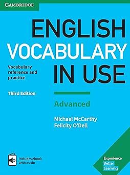 Englischer Wortschatz im Einsatz: Fortgeschrittenes Buch mit Antworten und erweitertem eBook: Wortschatz