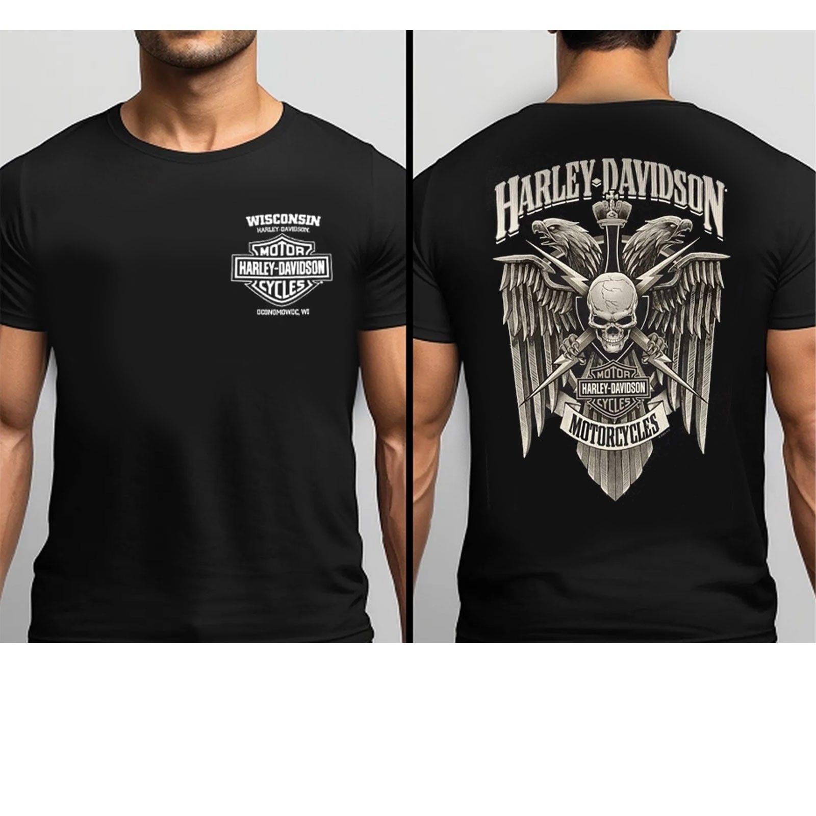 Harley-Davidson Skull Wings T-Shirt – Wisconsin Dealer Tee, Bold Back Print