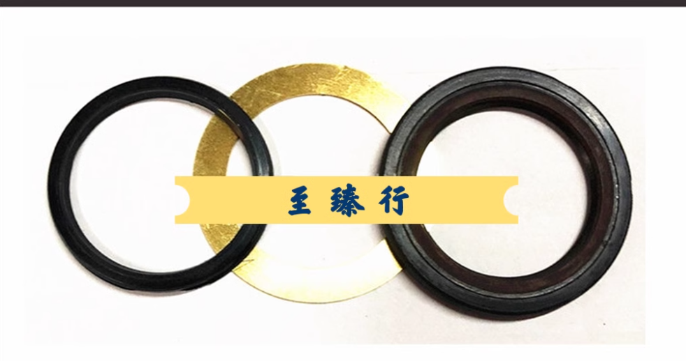 High-pressure oil pump motor skeleton seal 33x46x4 9057-9 sealing ring