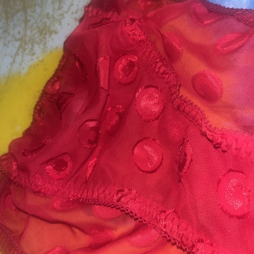 vintage bikini nylon small panties - Picture 4 of 12