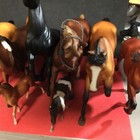 Foto 4 di 14