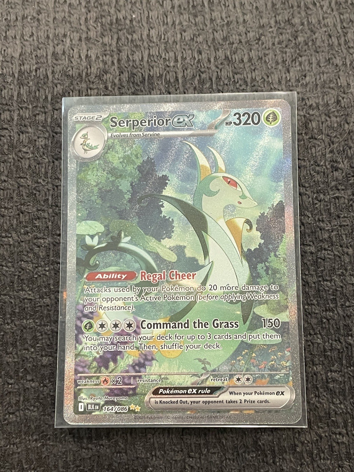 Serperior ex 164/086 - Black Bolt Pokemon Special Illustration Rare English LP