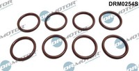 Dr.Motor Automotive DRM0254S Dichtring, DüSenhalter FüR Opel