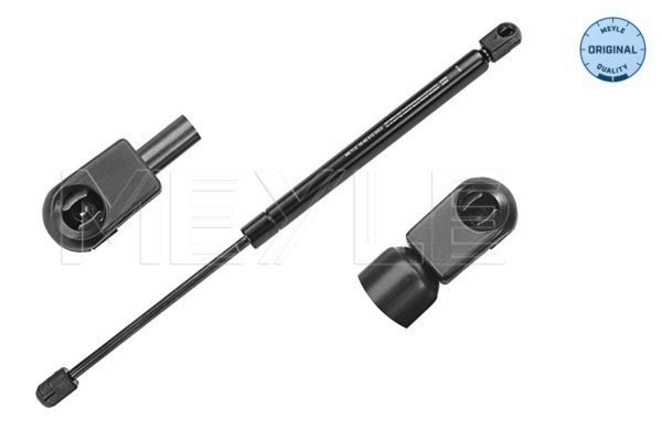Gasfeder Koffer Laderaum FüR Renault Clio Ii Kasten/SchräGheck Iv-image