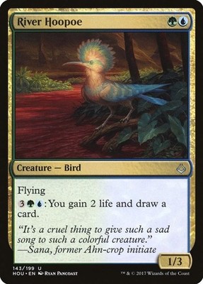 River Hoopoe- (NM)--EN-[HOU - 143]
