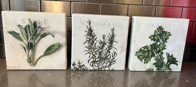 Sullivans Darren Herbs Canvas Set of three 5'' x 5'' Wall Art