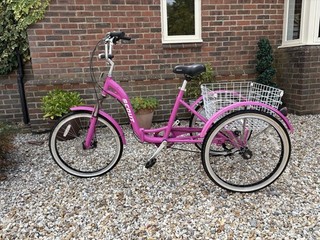 Scout Adult Tricycle Pink