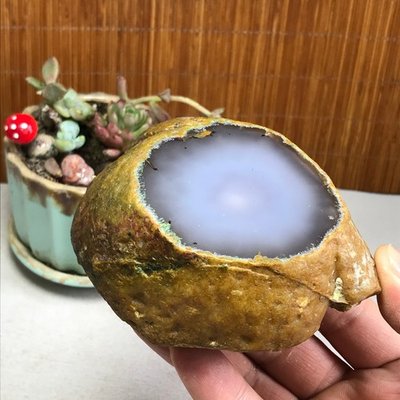 #ad 566g Natural Enhydro Mobile water bladder agate chalcedony moving Specimen A4587 $81.90