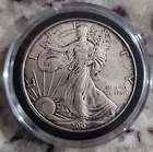 2007 American Silver Eagle Uncirculated 1oz .999 Fine Silver (D-24)