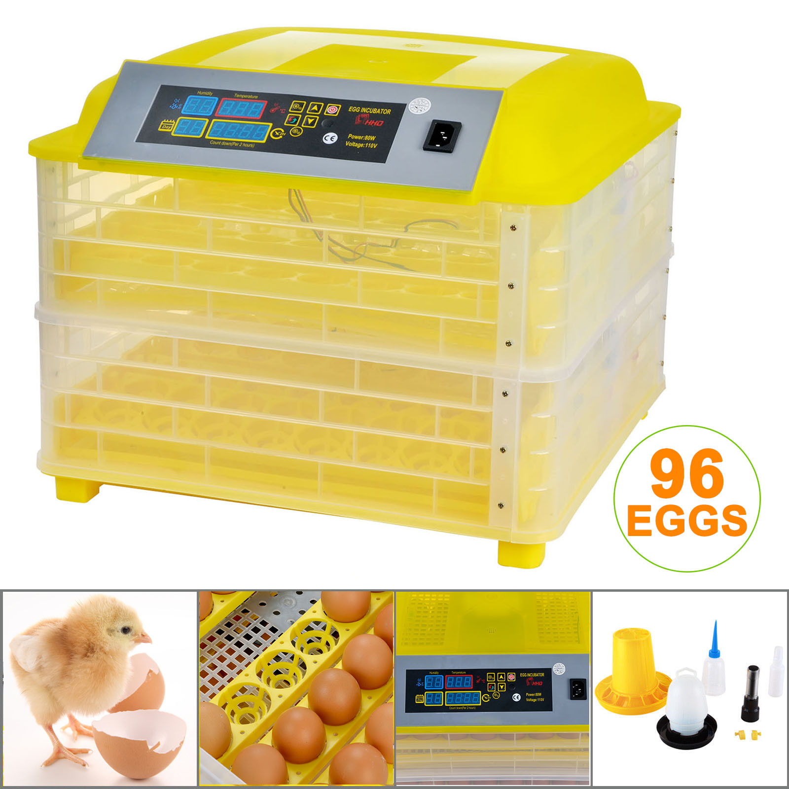 chicken hatching eggs and hatching supplies click here