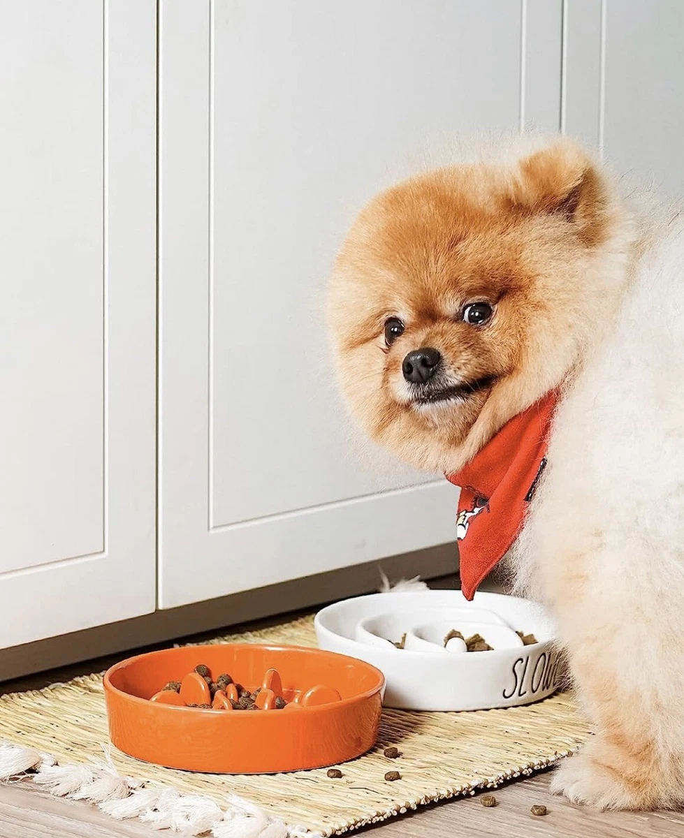 Dog bowls for small breeds sale