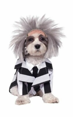 Rubies Pet Dog Kostüm – Verstellbares Tutu Mit Schleife Für Hunde, Pink, Für Halloween & Partys