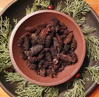 2 C. Primitive Fixin s Christmas Bowl Fillers Scented Pinecones Bowl Fillers 2