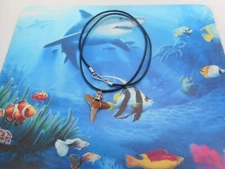 Genuine 1" Fossil  Lemon Shark Tooth Necklace Beachwear Surf Wear Skull