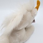 Bild 7 von 13