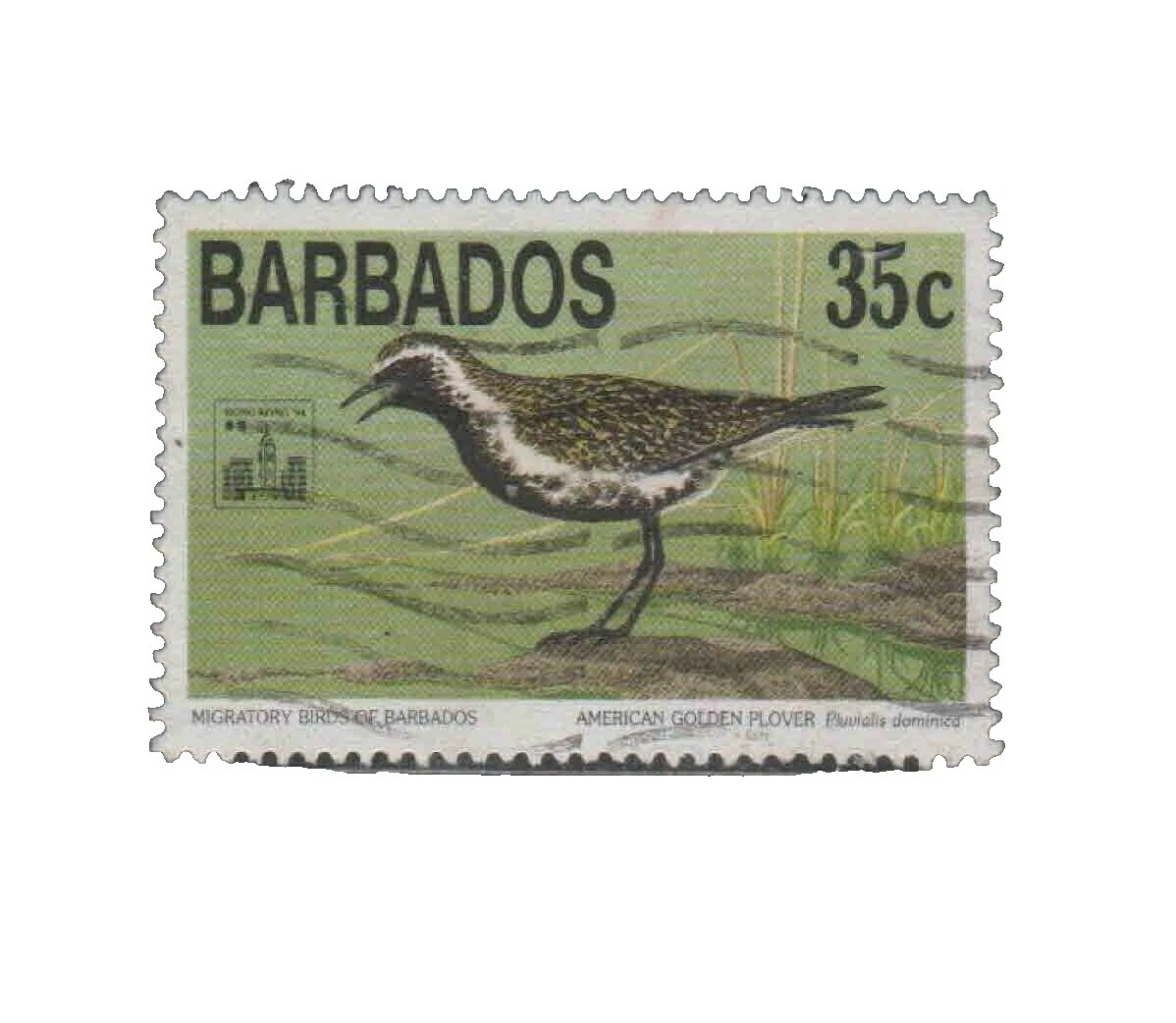 Selos de Equipamentos Usados (1966 até o Presente)