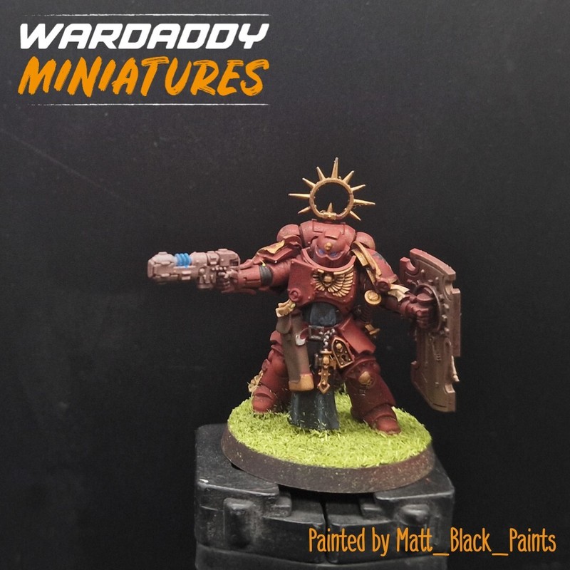 Pro Painted Warhammer 40k Blood angels Primaris Lieutenant games workshop