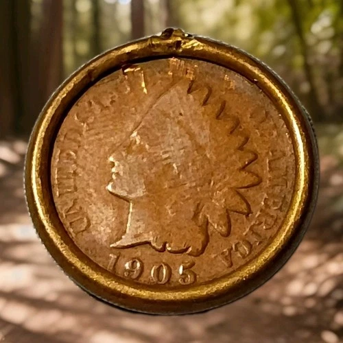 1905 Indian Head Cent Actual Coin Shown - A28
