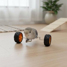 Parrot Balance Board Toy Mental Development Avian Balance Instructor for