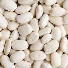 Navy Bean (White Bean) Non_GMO