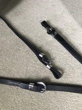 Amerigo Vespucci raised lace reins