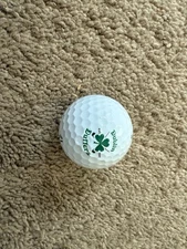 Dublin Duffers Logo Golf Ball