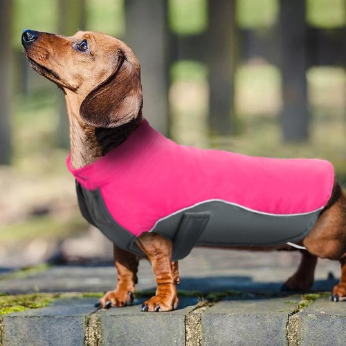 Dog Coats for Large Dogs Winter Waterproof Jacket Fleece Padded Clothes