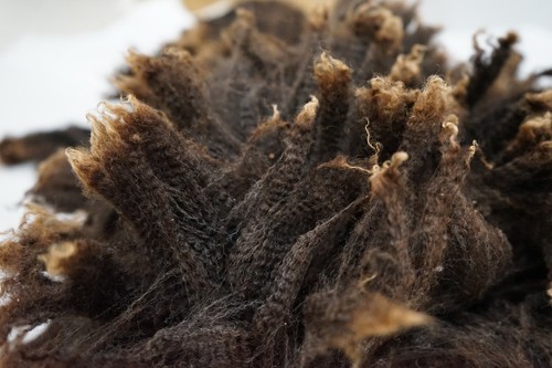 Australian Corriedale raw fleece coloured wool 200g dark brown fine and crimpy
