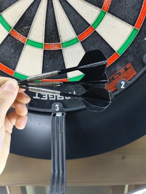 Target Scott Williams G1 Softtip 18g
