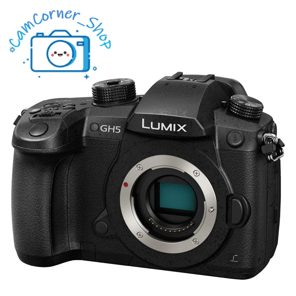 Panasonic LUMIX GH5 Digital Cameras for Sale | Shop New & Used
